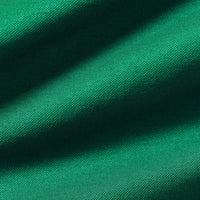 Power Seamless Scrunch Shorts | Amazonia Green