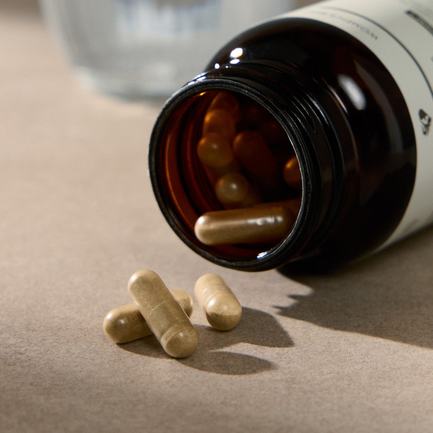 Daily Nutrients 2/Day Capsules